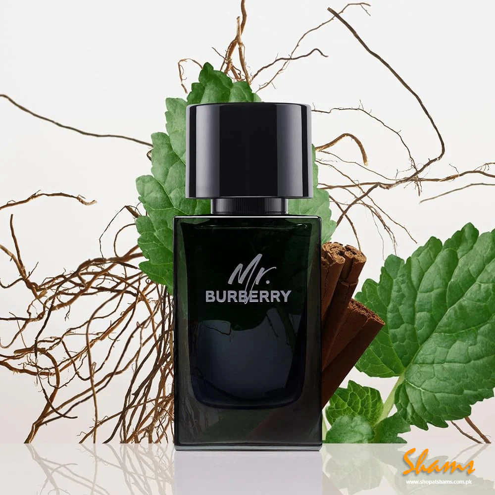 Mr. Burberry EDP Perfume For Man 100Ml