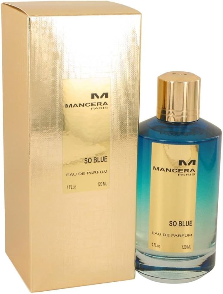 Mancera So Blue EDP Perfume For Men and Women 120ml - Khayest