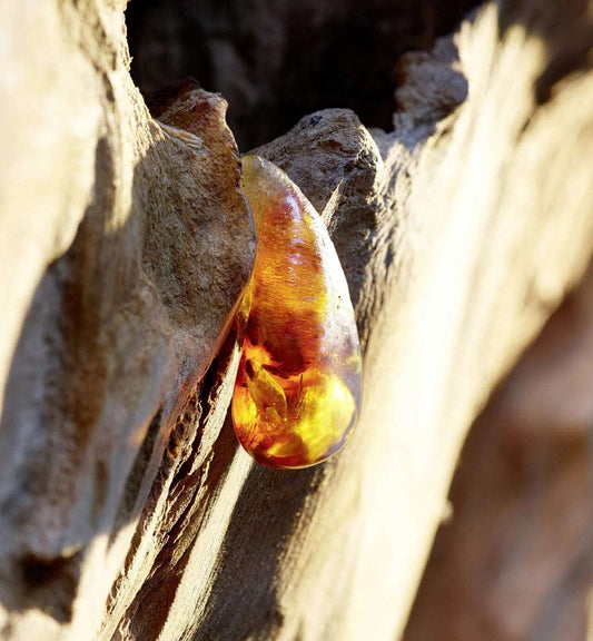 A close-up of a golden drop of Ambroxan resin, a key warm and ambery base note in the Dior Sauvage perfume fragrance.