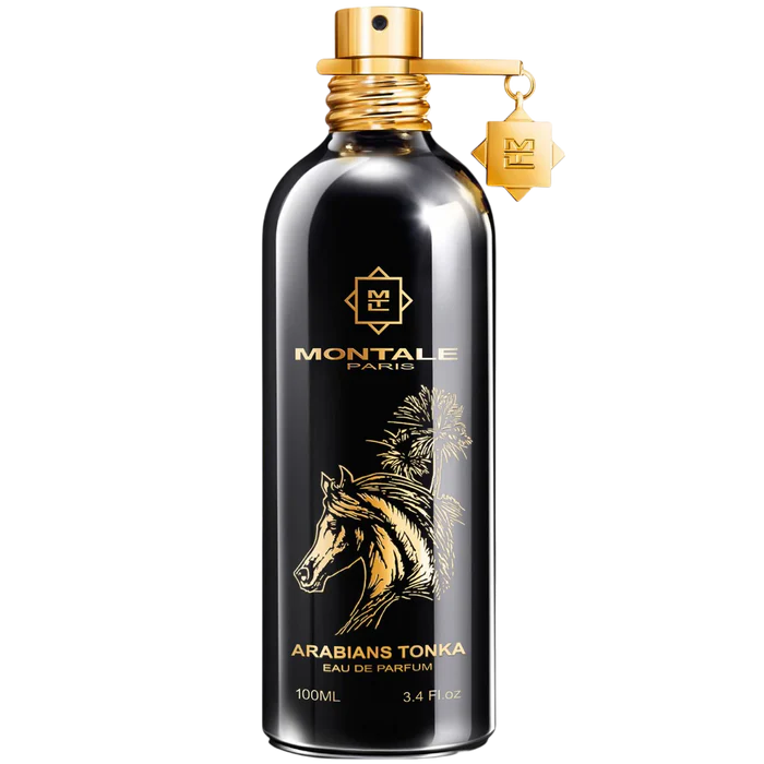 Price of Montale Arabian Tonka EDP For Men and Women 100ml in pakistan - Khayest