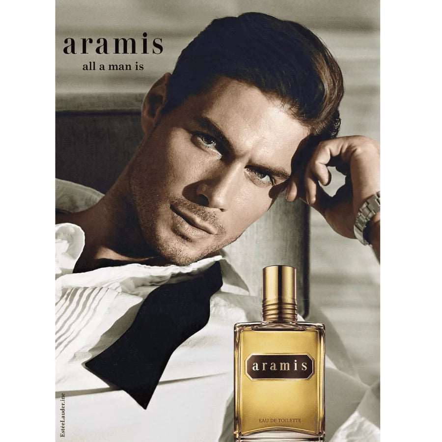 Aramis EDT Perfume for Men 110ml