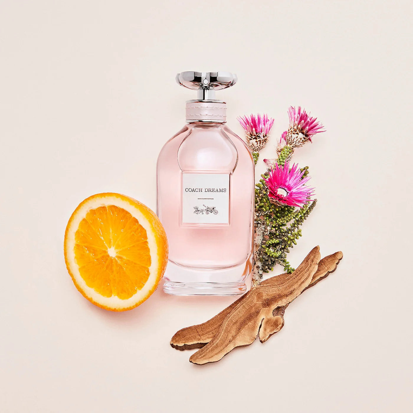 COACH Dreams EDP Perfume For Women 90ml - Khayest