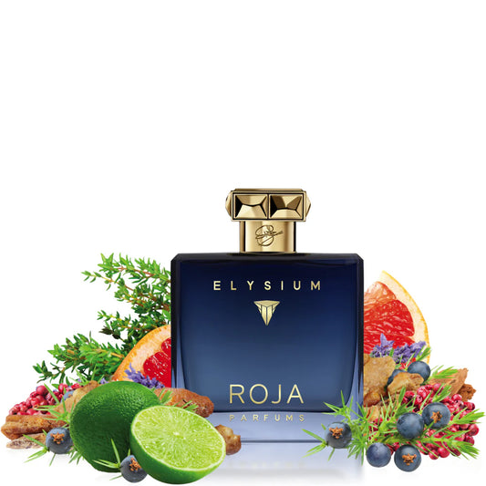 Roja Elysium Pour Homme Parfum Cologne Perfume For Men 100ml - Khayest