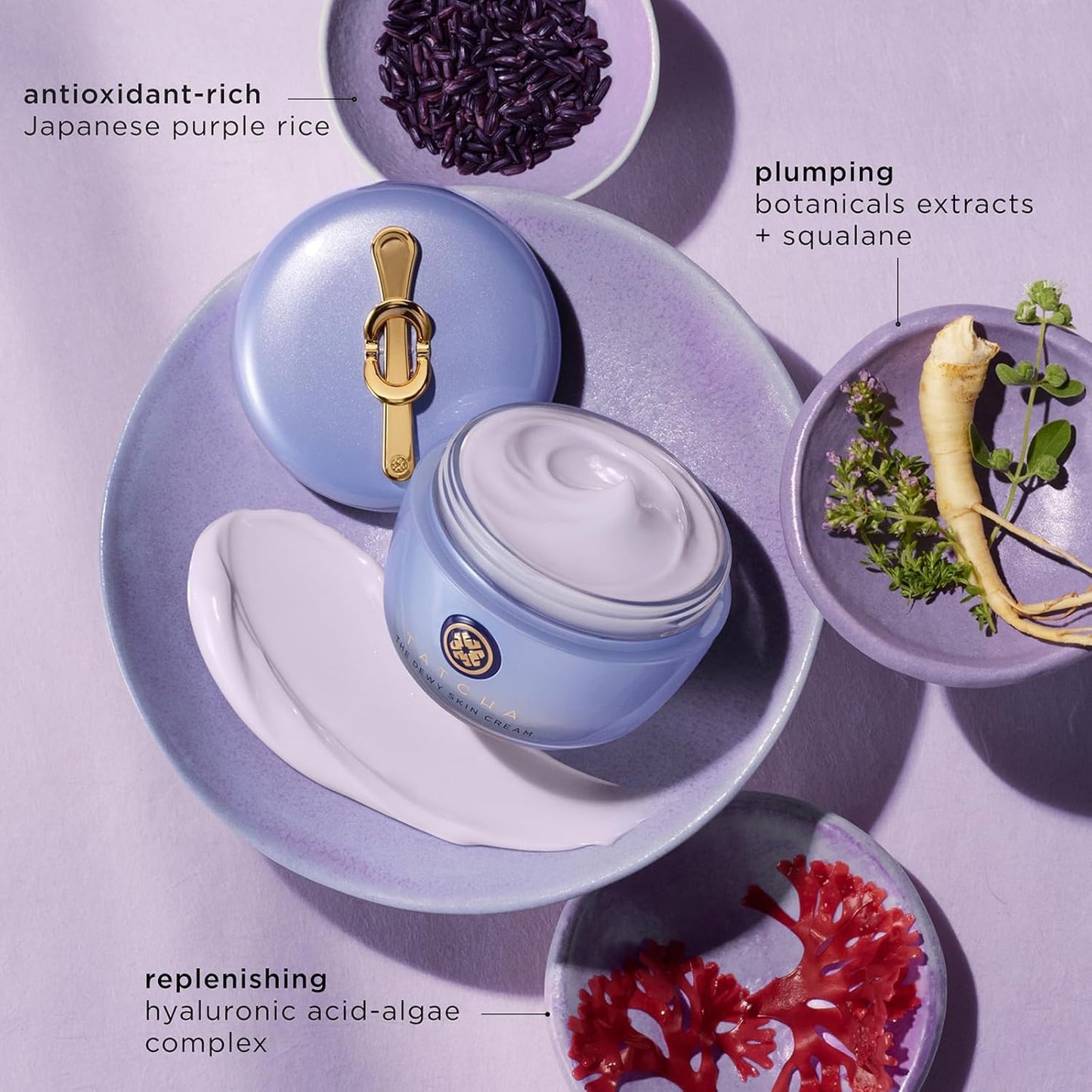 TATCHA The Dewy Skin Cream Face Moisturizer 50ml - Khayest