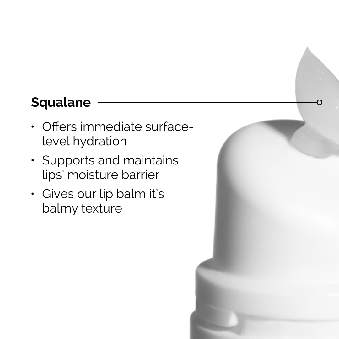 The Ordinary Squalane + Amino Acids Hydrating Lip Balm explaining features