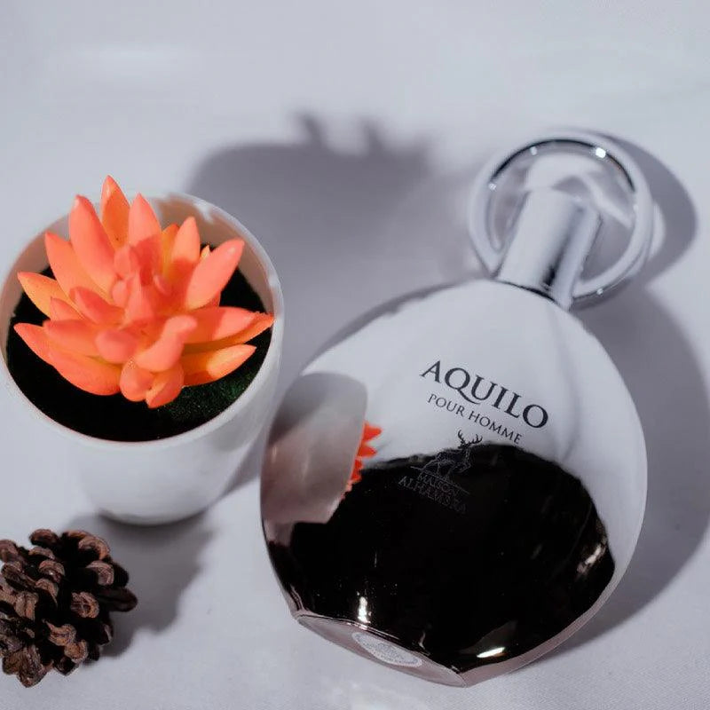 Maison Alhambra Aquilo EDP Perfume for Men 100ml - Khayest