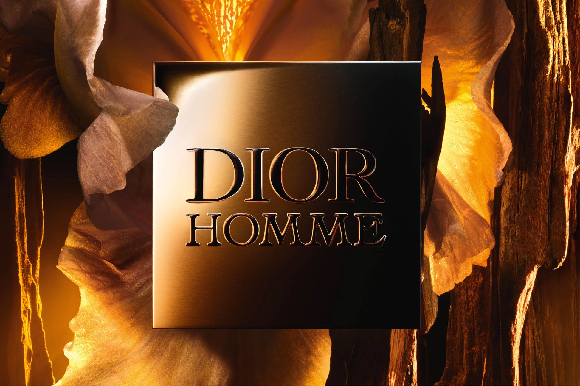 Dior Homme Parfum Perfume for Men 75ml - Khayest