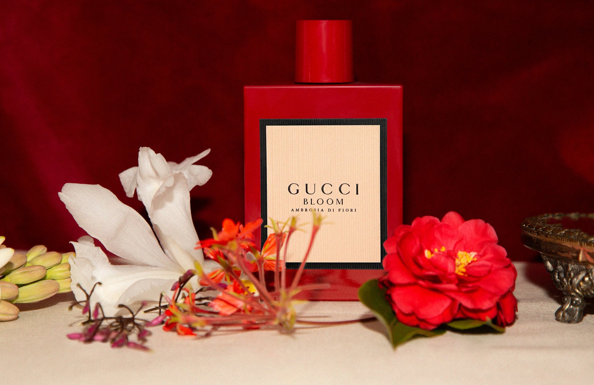 Gucci Bloom Ambrosia Di Fiori EDP Intense Perfume for Women 100ml - Khayest