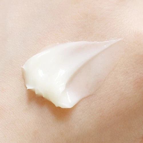 Medicube Red Cream 50ml Moisturizing Cream - Khayest