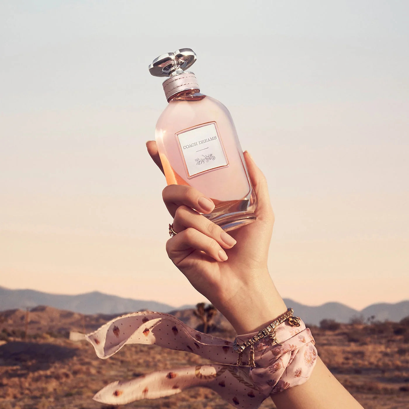 COACH Dreams EDP Perfume For Women 90ml - Khayest