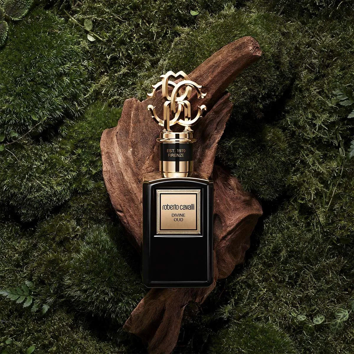 Roberto Cavalli Divine Oud EDP Intense Perfume For Men And Women 100ml - Khayest