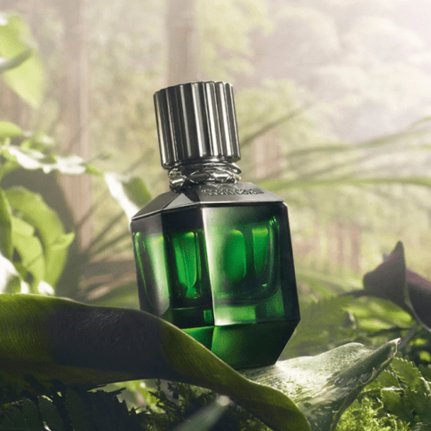 Roberto Cavalli Paradise Found EDT Perfume for Men 75ml