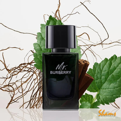 Mr. Burberry EDP Perfume For Man 100Ml