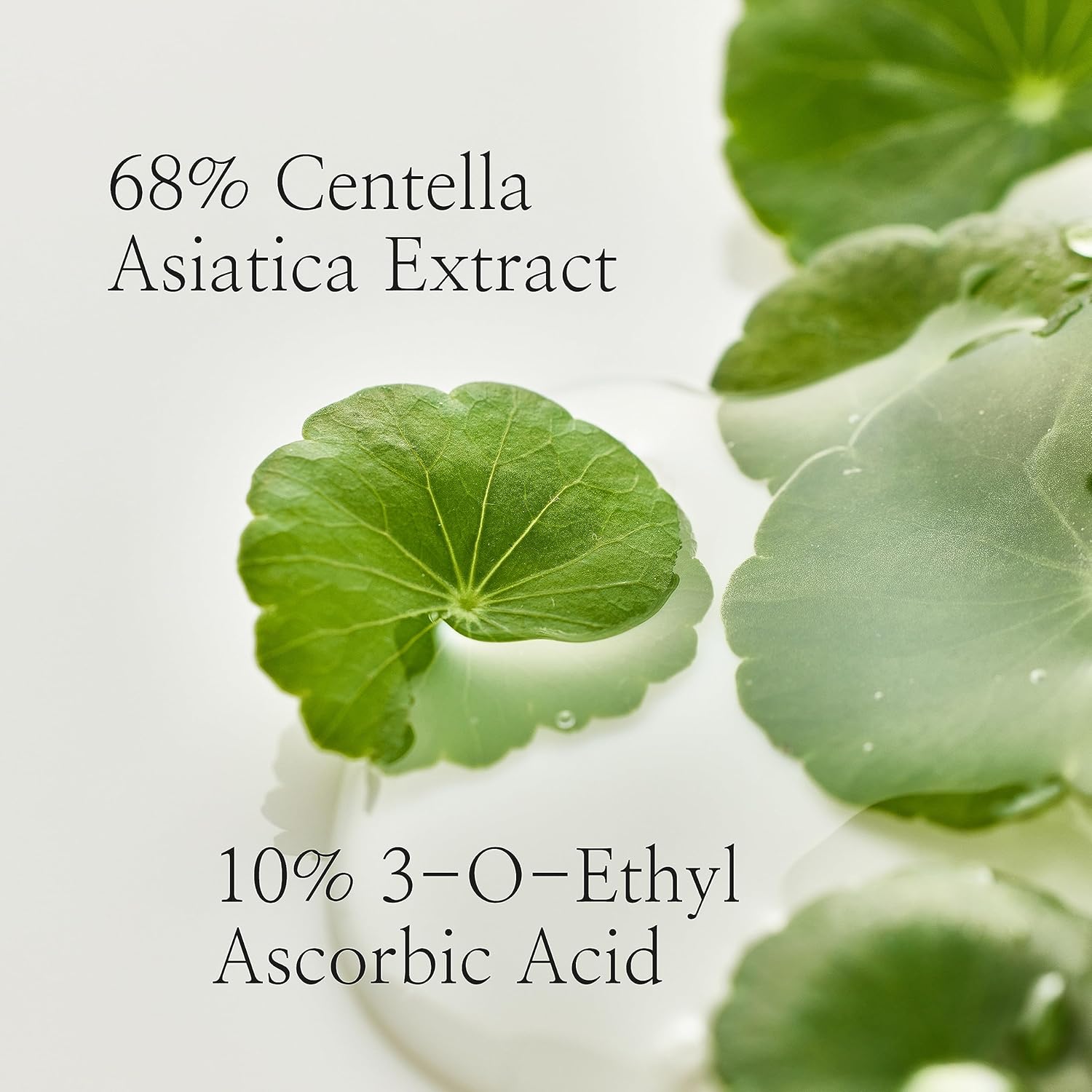 Beauty of Joseon Light On Serum Centella + Vita C 30ml - Khayest