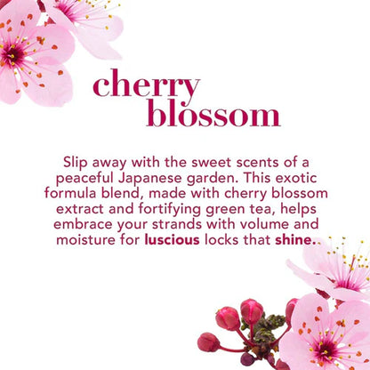 OGX Heavenly Hydration + Shine Cherry Blossom Hair Shampoo 385 - Khayest