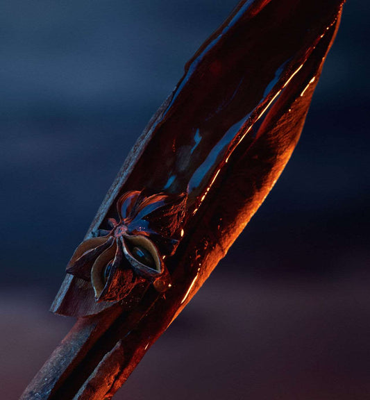 Dior Sauvage Elixir spice nutmeg ingredient showcasing warm aromatic notes in luxury men's perfume