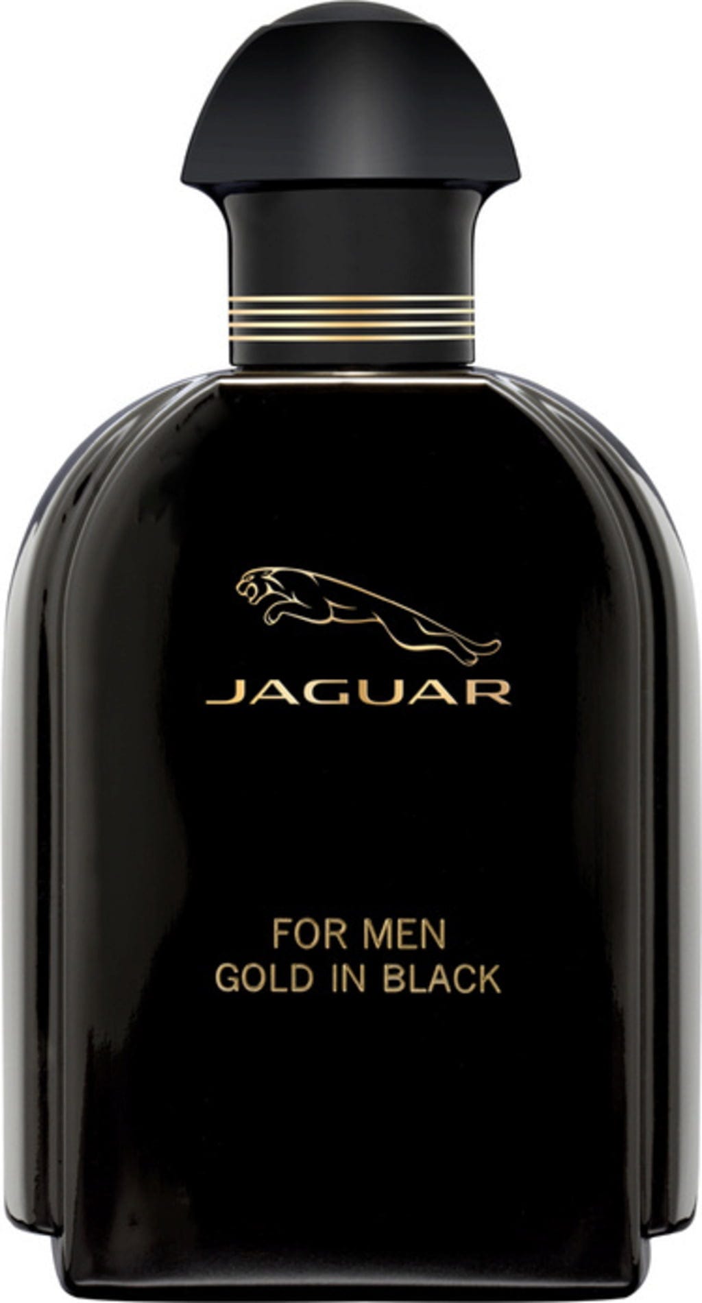 Jaguar For Men Gold In Black Eau de Toilette Natural Spray 100ml - Khayest